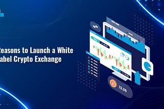 White Label Bitcoin Exchange: What are its Benefits?