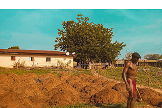 A subsistence farm and farmer in Nigeria