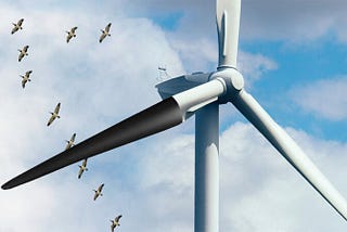 Wind Energy and Migration Birds