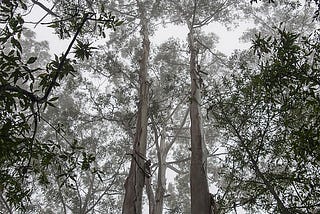 Spires