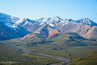 Thoughts on Denali NP