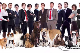 Basic Considerations When Choosing A New Puppy: Alpha Dog Technology