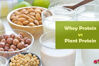 Whey Protein vs Plant Protein: Which One is Better?