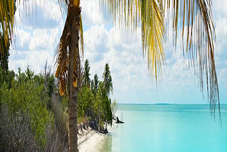 Best Beaches For Your Personality Type: Discover a New ‘You’ Travel Guide — Nina Zapala