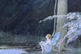 A Fairy Night