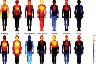 How the Biology of Emotion Plays a Role in Our Judgement and Decision-Making: A Series