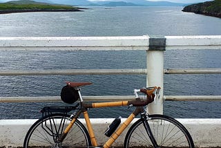 Dave's Bamboo Road Bike