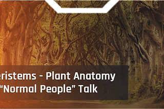 ​Meristems — Plant Anatomy In “Normal People” Talk