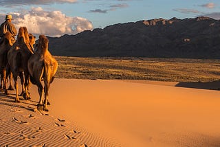 GOBI DESERT, MONGOLIA — A DREAM IN A DREAM