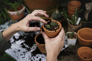 Organic Garden- Ideas for Beginners