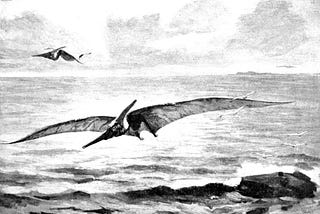 The Largest Creature That Ever Flew.