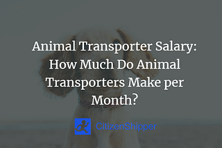 Animal Transporters' Salary: How Much Do Animal Transporters Make Per Month?