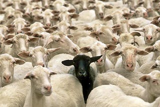 Real-time Anomaly Detection in VPC Flow Logs, Part 5: Anomaly Detection