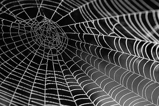 Spider Webs have inspired a new form of diabetes treatment