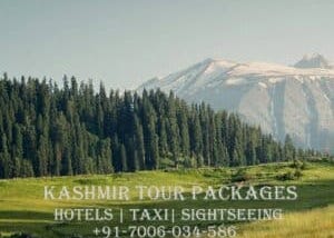 PAHALGAM TOUR PACKAGES