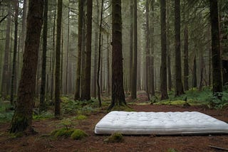 The mattress in the middle of nowhere…