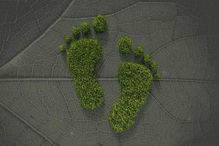 IMPORTANCE OF SUSTAINABLE BRANDING IN YOUR BUSINESS