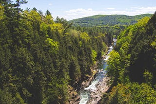 Adaptive Leadership in the NYC Watershed