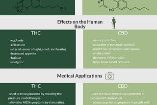 Indicators on Thc Vs. Cbd — Arkansas Marijuana Card Doctors You Need To Know