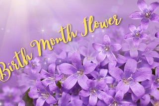 12-Month Birth Flowers: Unveiling the Floral Gems of Each Month