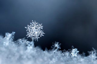 To Snowflake or Not to Snowflake?