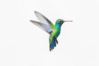 Authenticated requests with Vite + React 18 + Hummingbird Swift API