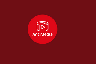 Ant media server Web Player