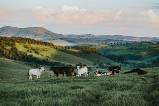 David Skudder on Understanding the Difference Between a Ranch and a Farm