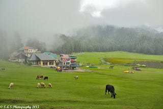 The meadows of Khajjiar. (Photo Credits: SImanpreet Singh Gill)