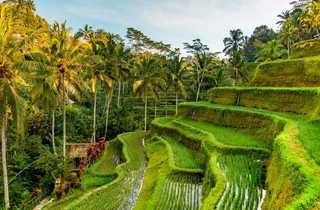 Four Sight You Should Not Fail to visit while in Bali.