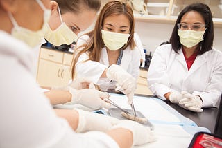 The Dentistry Sector Has Some of the Best Job Opportunities