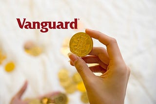 What is Vanguard Portfolio?