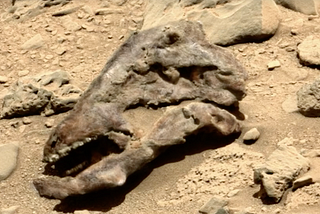 Alien Fossils on Mars are Life-mimicking with Non-biological Origins — NASA