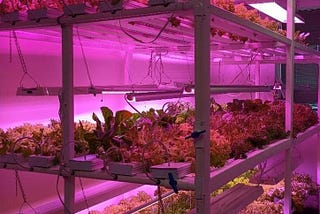 Re-Nuble — Enabling Vertical Farms to go Organic