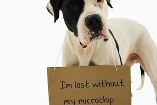 Defra Compliant Pet Microchip Databases In The UK