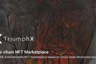 TriumphX Function_ PART 3