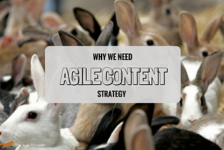 why agile content strategy