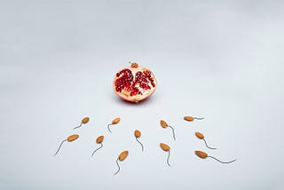 Sperm’s Influence on a Pregnancy