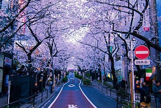 Image of Shibuya, in Tokyo with streets directions.