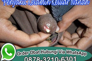 Obat Kencing Sakit Dan Panas