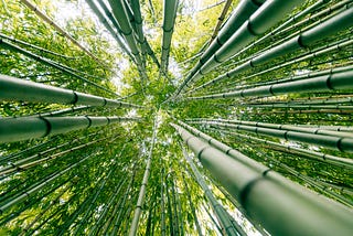 Three dimensions of spirituality