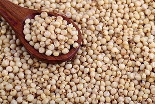 Jowar Dishes to Include in Your Diet & Enjoy Their Health Benefits!