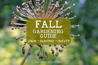 Fall Gardening Guide {Grow, Harvest, Create}