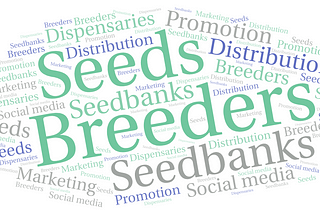 How seeds make their way from breeders to growers?