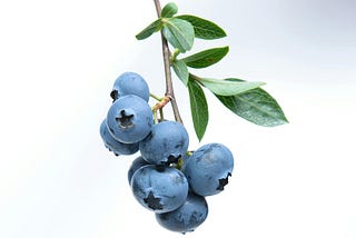 What is the Most Powerful Anti-Aging Berry? Look 20 Years Younger, Naturally!