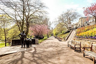 Cherry Blossom in Princes Street Garden, Post Lockdown trip to edinburgh, mandy charlton photographer, writer, blogger