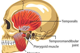 Temporomandibular Disorders Evaluating and Management in Clinical Setting