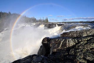 A Landmark Win For Nature