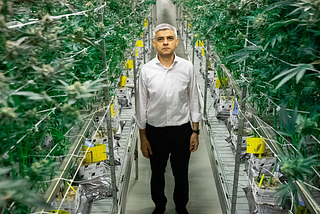 Is London about to legalise cannabis?