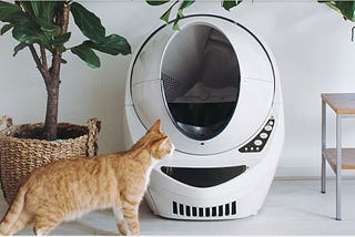One Cat Mom’s “Litter”ally Honest Review of the Litter-Robot